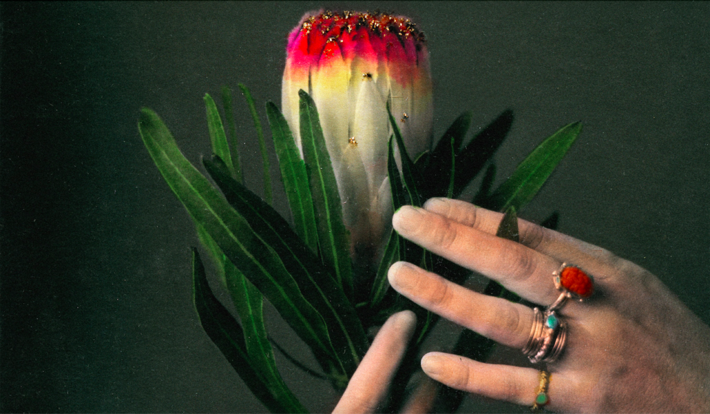 Chakshu ✨ –  Bijoux inspirés du monde
