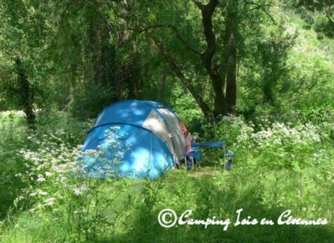 campez-dans-la-verdure-_-768x508
