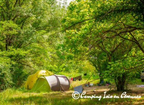 isis-camping-nature-768x512